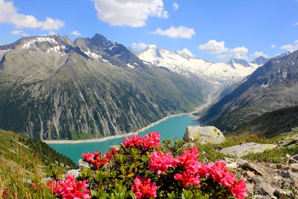 Alpen Appartements Hochmuth Mayrhofen Zimmer foto